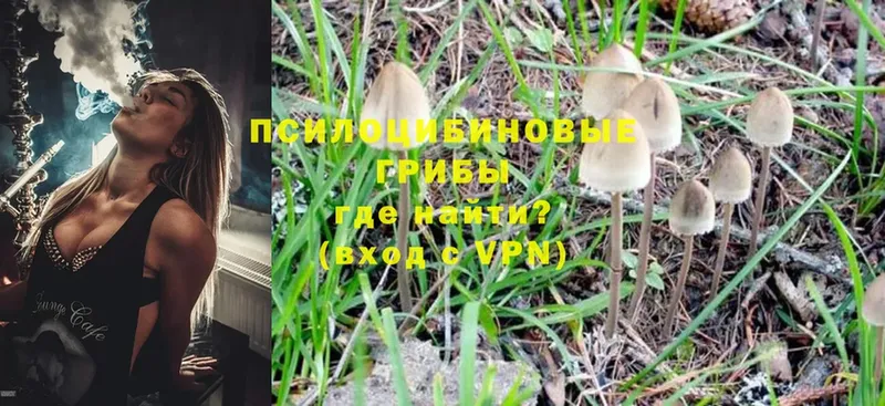 Псилоцибиновые грибы Magic Shrooms  даркнет сайт  Канск 